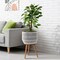 Casafield Indoor Planter with Stand, Floor Planter with Wood Legs, Large Plant Pot Cover Basket with Liner for Houseplants, Flower Pots and Trees